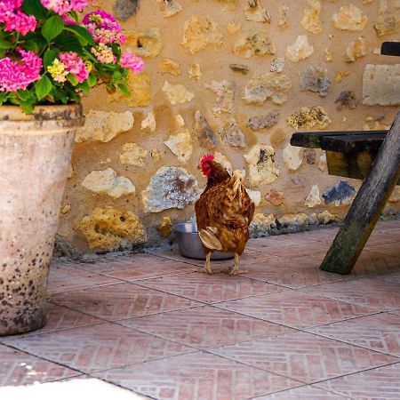 Le Nid De Faucons Villa Lalinde Dış mekan fotoğraf