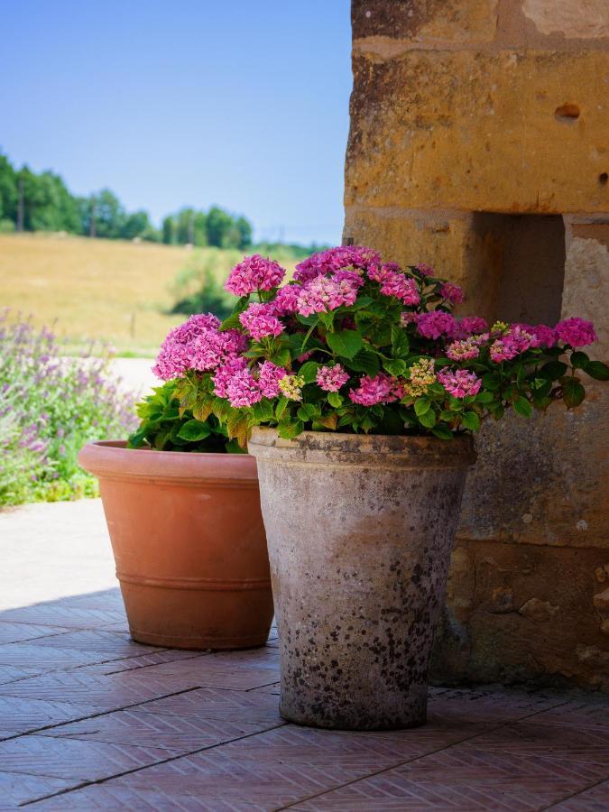 Le Nid De Faucons Villa Lalinde Dış mekan fotoğraf